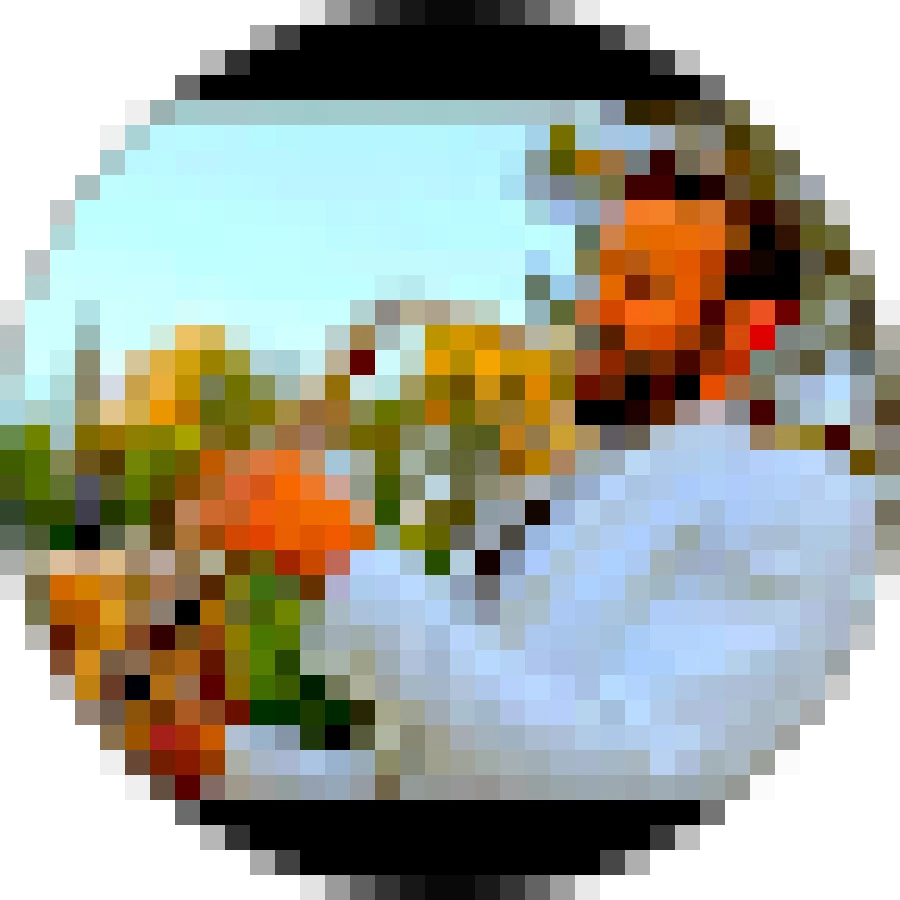 Photo client portrait